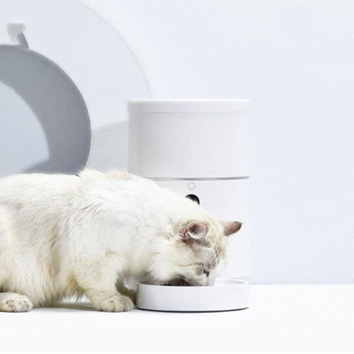 Smartpet Food Dispenser With Camera: App-Controlled Automatic Feeder